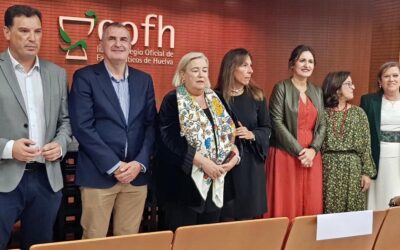 Presentado el II Congreso Sociosanitario sobre Enfermedades Raras en Huelva